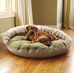 Different Types Of Dog Beds For Large Dogs