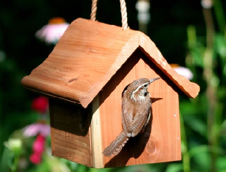 Bird House 4