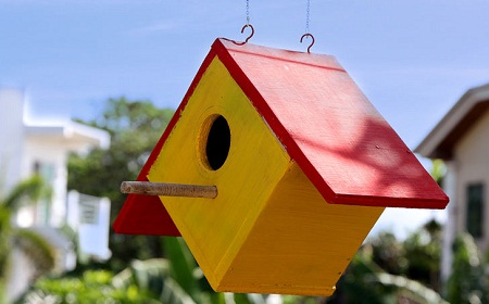 Bird House 7
