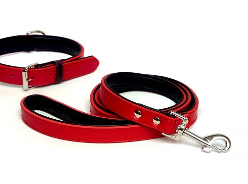 Dog leads and collars