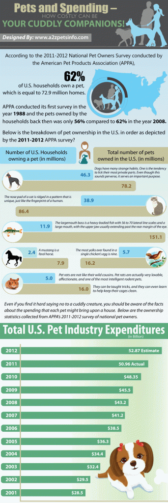 Pets and Spending–How Costly Can Be Your Cuddly Companions