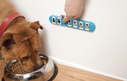 10 Most Intriguing New Dog Products