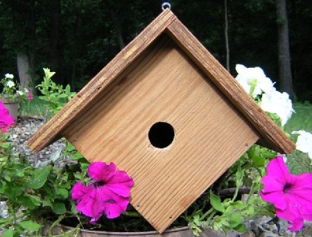 Bird House 20