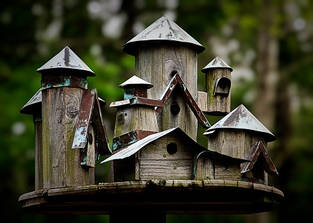 Bird House 21