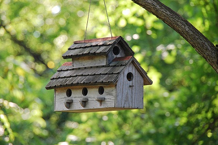 Bird House 31