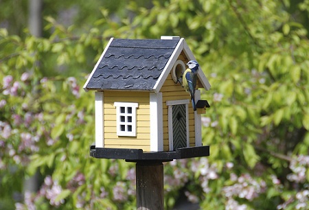 Bird House 5