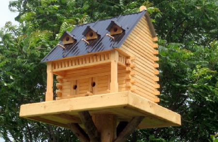 Bird House 9