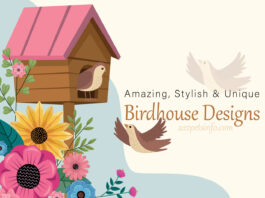 Birdhouse Designs