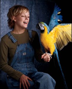 Pet Birds For Your Kids