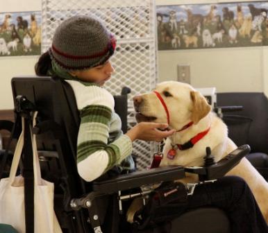 How Do Dogs Help People with Disabilities