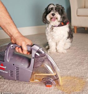 House Cleaning Tips for Pet Owners