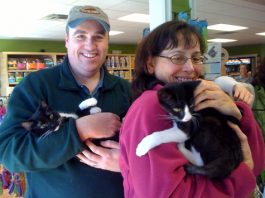 Tips for New Cat Adopters