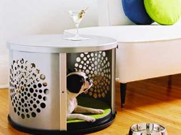 Best Pet Furniture for Dogs