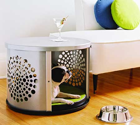 Best Pet Furniture for Dogs