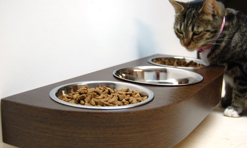 Personalized Cat Bowls