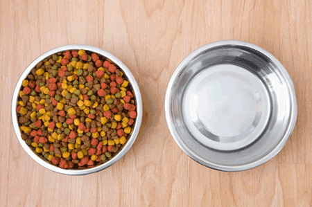 FDA Finally Apply the Color Rules for Pet Food