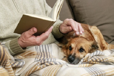 5 Tips for Caring For Senior Dogs