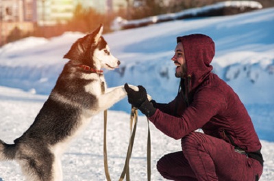 Beneficial Winter Exercise for Dogs
