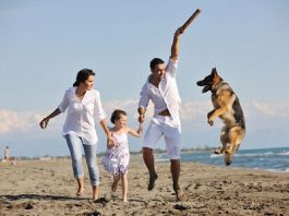 How to Choose the Best Dog for Your Family