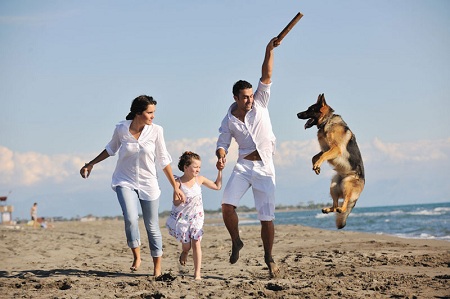 How to Choose the Best Dog for Your Family