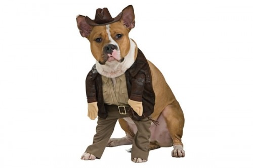 Indiana Jones Dog