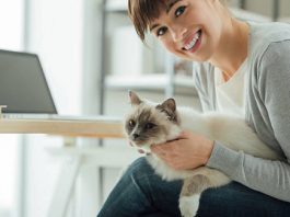 How Can Cats Reduce Stress and Improve Moods