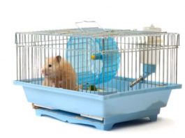 How do you make a rat cage at home