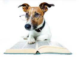 dog breeding books for dog breeders