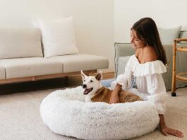 best calming dog bed