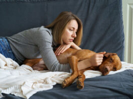 Home Remedies For Dog’s Upset Stomach