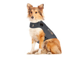 Anxiety Vests for Dogs
