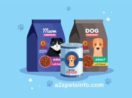 dog food brands list